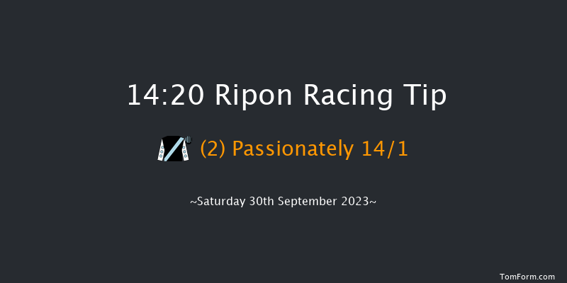 Ripon 14:20 Handicap (Class 5) 8f Tue 5th Sep 2023