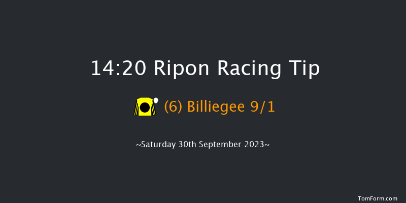 Ripon 14:20 Handicap (Class 5) 8f Tue 5th Sep 2023
