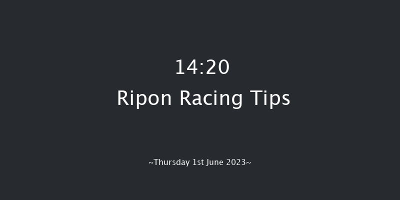 Ripon 14:20 Stakes (Class 5) 6f Sun 21st May 2023
