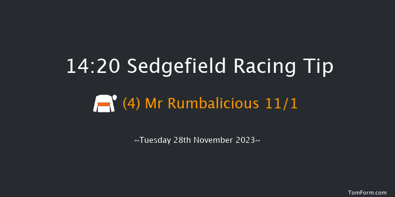 Sedgefield 14:20 Handicap Hurdle (Class 5) 17f Thu 16th Nov 2023