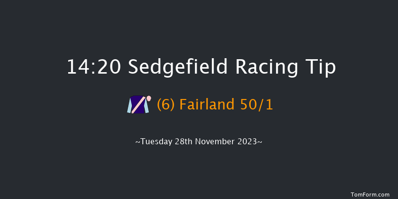 Sedgefield 14:20 Handicap Hurdle (Class 5) 17f Thu 16th Nov 2023