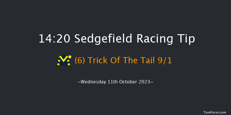 Sedgefield 14:20 Maiden Hurdle (Class 4) 17f Tue 3rd Oct 2023