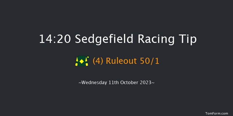 Sedgefield 14:20 Maiden Hurdle (Class 4) 17f Tue 3rd Oct 2023