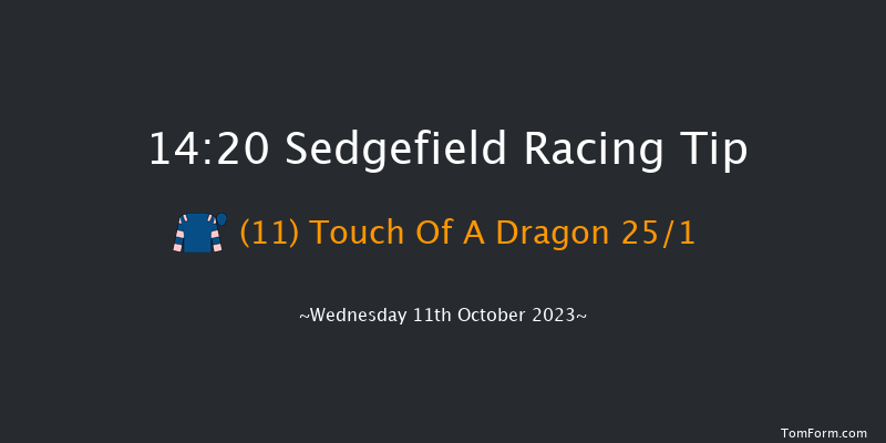 Sedgefield 14:20 Maiden Hurdle (Class 4) 17f Tue 3rd Oct 2023