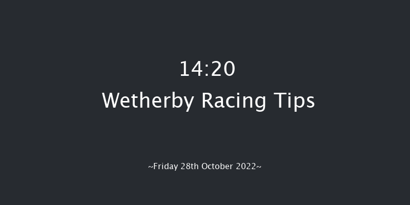 Wetherby 14:20 Handicap Hurdle (Class 3) 16f Wed 12th Oct 2022