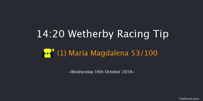 Wetherby 14:20 Conditions Hurdle (Class 4) 16f Thu 1st Jan 1970