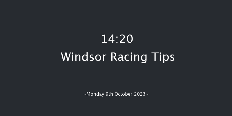 Windsor 14:20 Stakes (Class 5) 8f Mon 4th Sep 2023