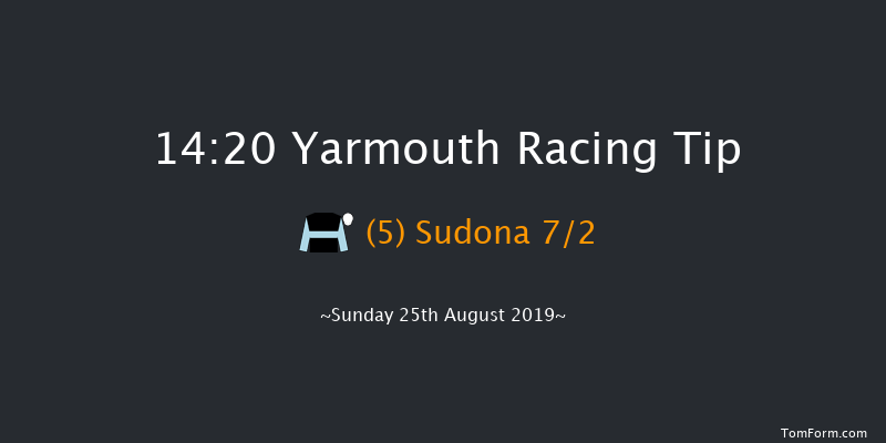 Yarmouth 14:20 Handicap (Class 5) 10f Tue 20th Aug 2019