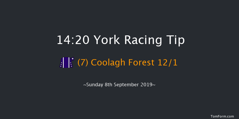 York 14:20 Handicap (Class 3) 10f Sat 24th Aug 2019