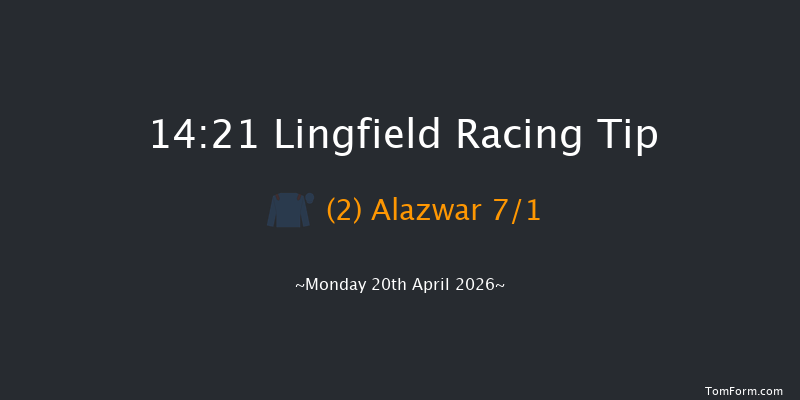 Lingfield 14-21 (Class 6) 8f Tue 14th Apr 2026