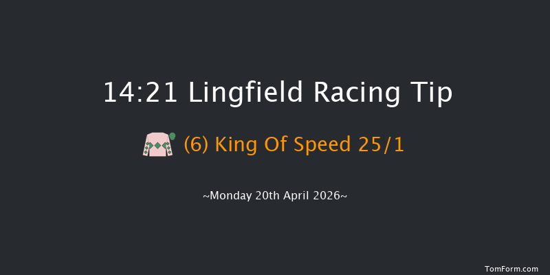 Lingfield 14-21 (Class 6) 8f Tue 14th Apr 2026