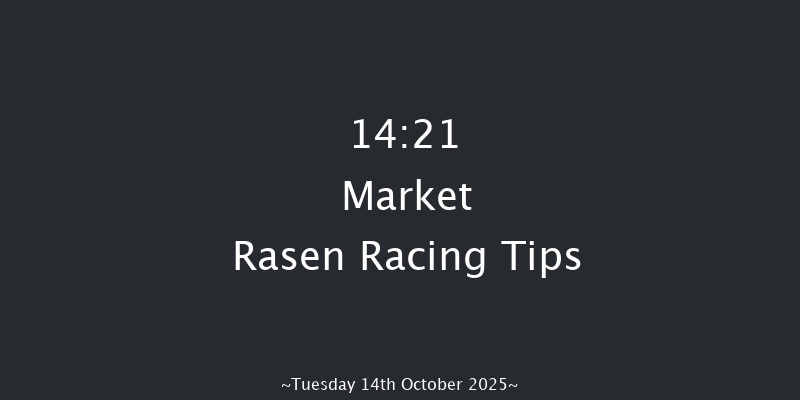 Market Rasen 14-21 (Class 4) 20f Sat 27th Sep 2025