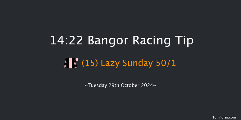 Bangor-on-dee  14:22 Handicap Chase (Class 4) 24f Fri 6th Sep 2024
