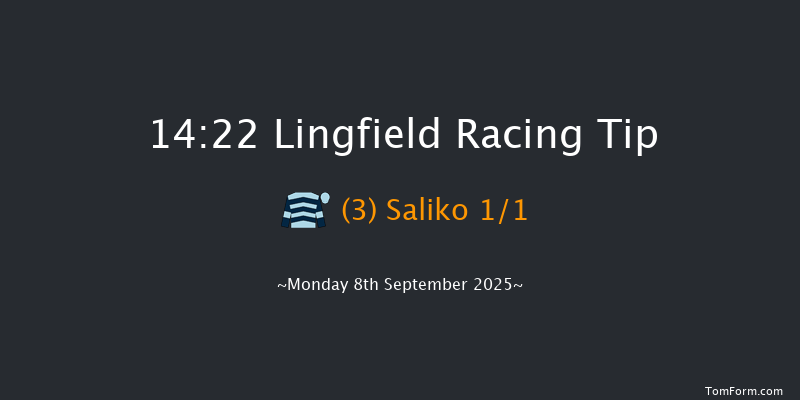Lingfield 14-22 (Class 5) 12f Thu 4th Sep 2025