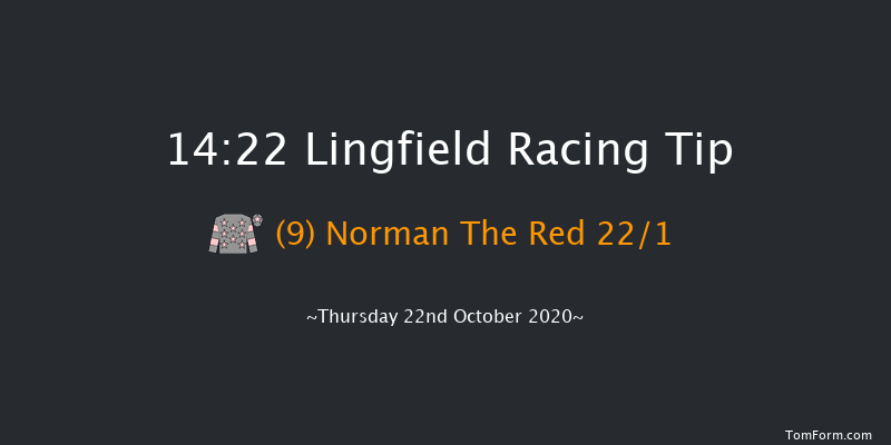 Visit attheraces.com/jumps Handicap Hurdle Lingfield 14:22 Handicap Hurdle (Class 4) 23f Thu 15th Oct 2020