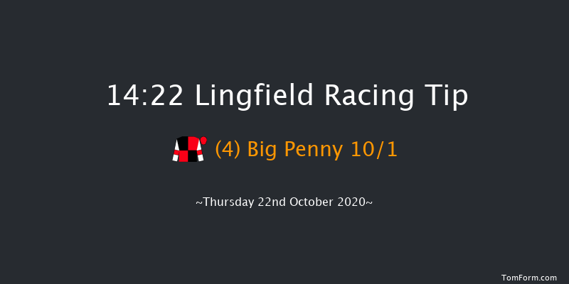 Visit attheraces.com/jumps Handicap Hurdle Lingfield 14:22 Handicap Hurdle (Class 4) 23f Thu 15th Oct 2020
