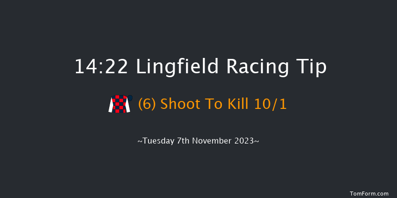 Lingfield 14:22 Handicap (Class 4) 7f Sun 5th Nov 2023