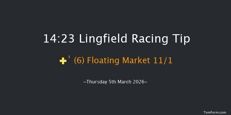 Lingfield 14-23 (Class 5) 8f Sat 28th Feb 2026