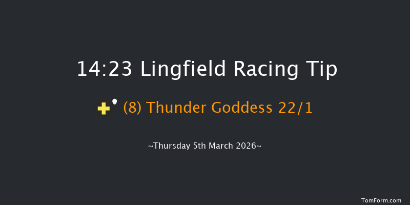 Lingfield 14-23 (Class 5) 8f Sat 28th Feb 2026
