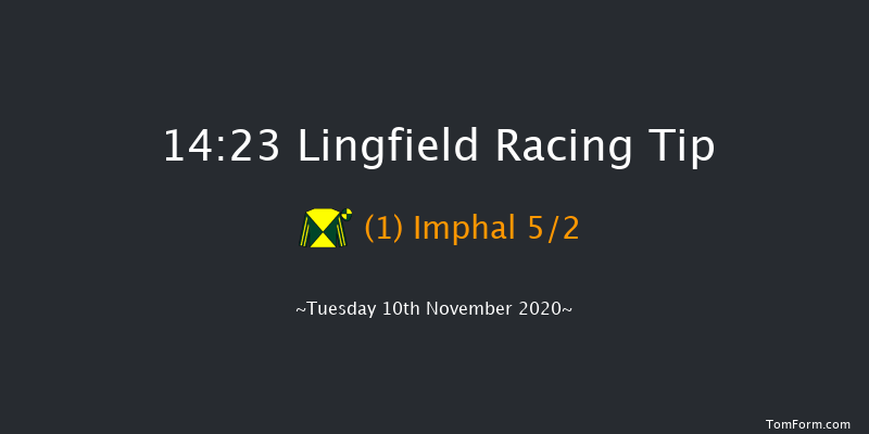 Sky Sports Racing Sky 415 Novices' Handicap Hurdle (GBB Race) Lingfield 14:23 Handicap Hurdle (Class 4) 16f Wed 4th Nov 2020