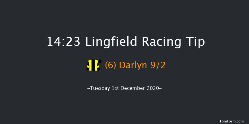 Nothing Beats A Birdie Racing Gift Handicap Hurdle Lingfield 14:23 Handicap Hurdle (Class 4) 20f Thu 26th Nov 2020