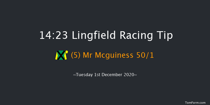 Nothing Beats A Birdie Racing Gift Handicap Hurdle Lingfield 14:23 Handicap Hurdle (Class 4) 20f Thu 26th Nov 2020