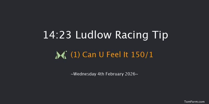Ludlow 14-23 (Class 4) 15f Thu 15th Jan 2026