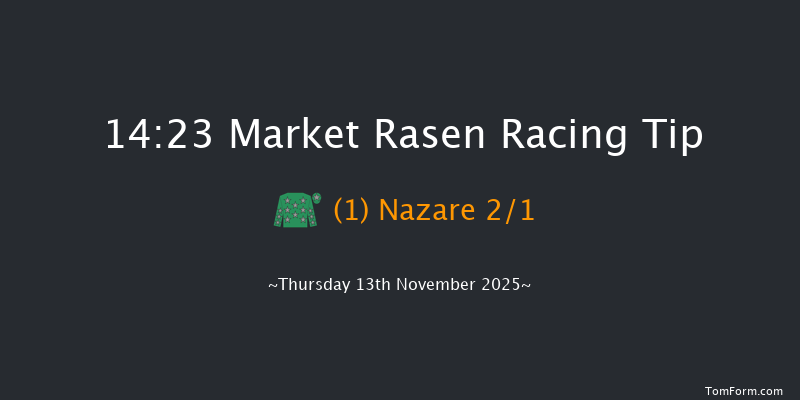 Market Rasen 14-23 (Class 5) 20f Tue 14th Oct 2025