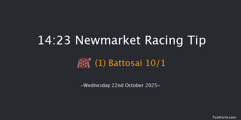 Newmarket 14-23 (Class 4) 7f Sat 11th Oct 2025