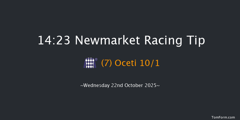 Newmarket 14-23 (Class 4) 7f Sat 11th Oct 2025