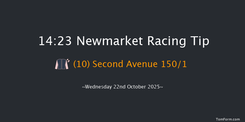 Newmarket 14-23 (Class 4) 7f Sat 11th Oct 2025
