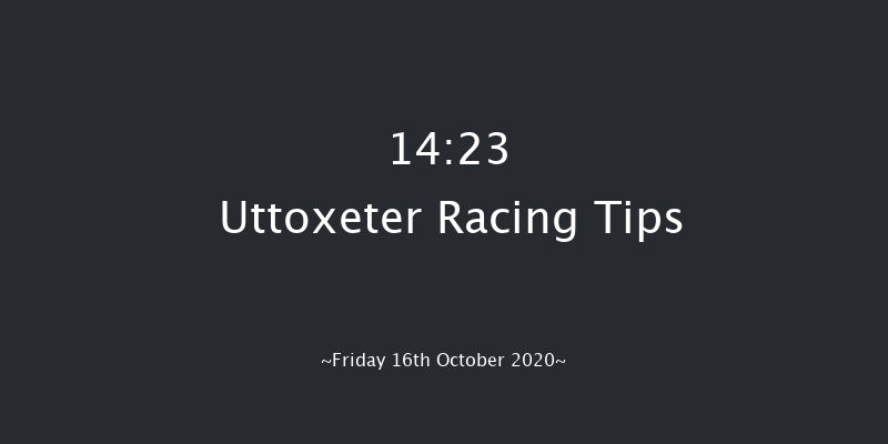 Free Tips Daily On attheraces.com Handicap Hurdle Uttoxeter 14:23 Handicap Hurdle (Class 2) 23f Sun 4th Oct 2020