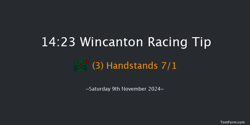 Wincanton  14:23 Maiden Chase (Class 1) 20f Sun 27th Oct 2024