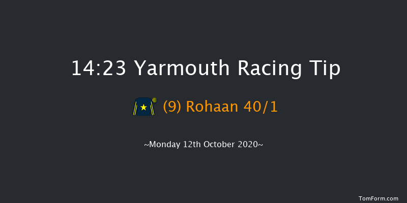 British Stallion Studs EBF Novice Stakes (Plus 10) Yarmouth 14:23 Stakes (Class 4) 7f Thu 17th Sep 2020