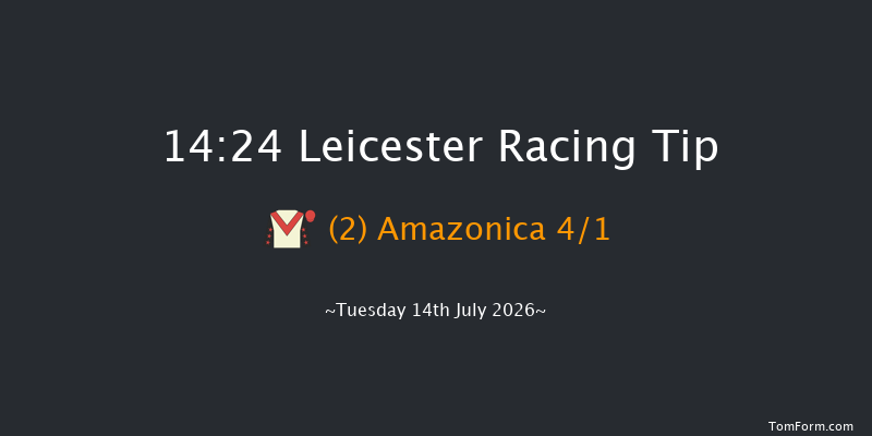 Leicester 14-24 (Class 3) 10f Sat 4th Jul 2026