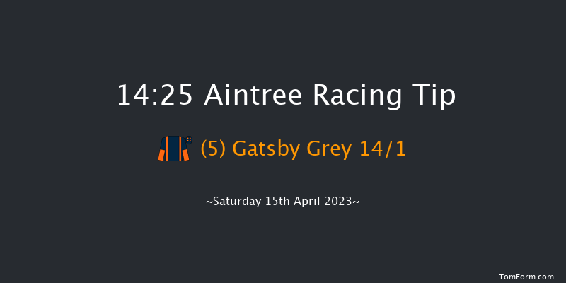 Aintree 14:25 Handicap Hurdle (Class 1) 25f Fri 14th Apr 2023