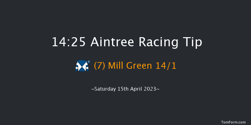 Aintree 14:25 Handicap Hurdle (Class 1) 25f Fri 14th Apr 2023