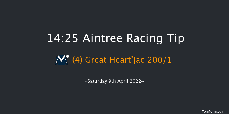 Aintree 14:25 Maiden Hurdle (Class 1) 20f Fri 8th Apr 2022