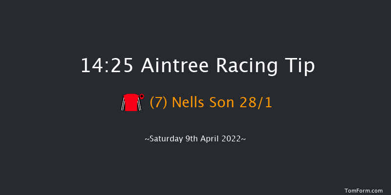 Aintree 14:25 Maiden Hurdle (Class 1) 20f Fri 8th Apr 2022