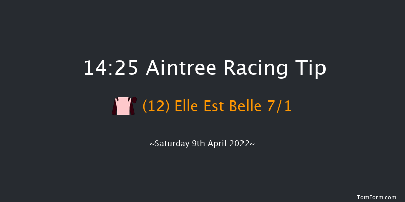 Aintree 14:25 Maiden Hurdle (Class 1) 20f Fri 8th Apr 2022