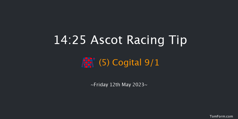 Ascot 14:25 Handicap (Class 3) 16f Wed 3rd May 2023