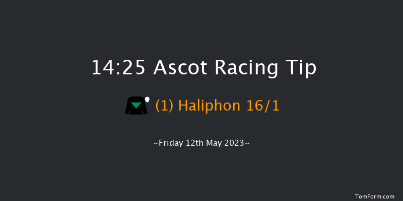 Ascot 14:25 Handicap (Class 3) 16f Wed 3rd May 2023