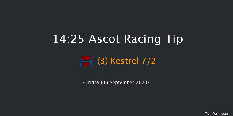 Ascot 14:25 Maiden (Class 3) 7f Sat 12th Aug 2023