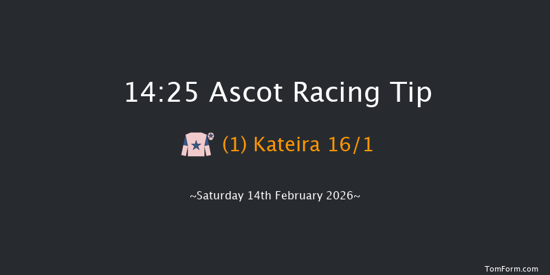 Ascot 14-25 (Class 2) 19f Sat 17th Jan 2026