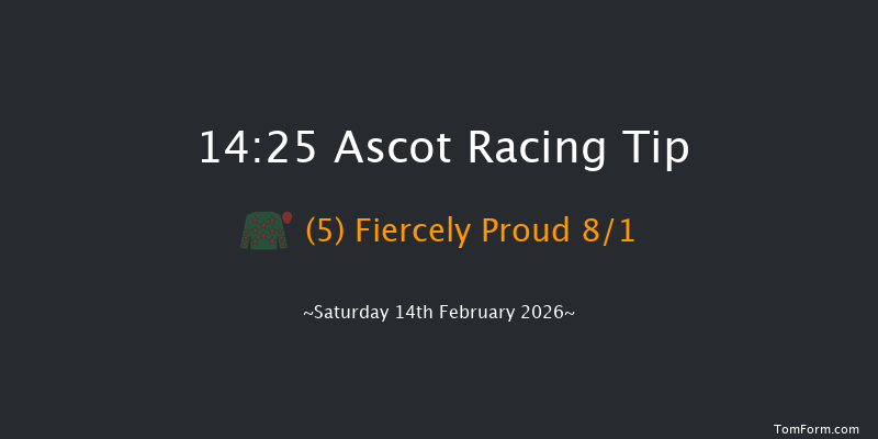Ascot 14-25 (Class 2) 19f Sat 17th Jan 2026
