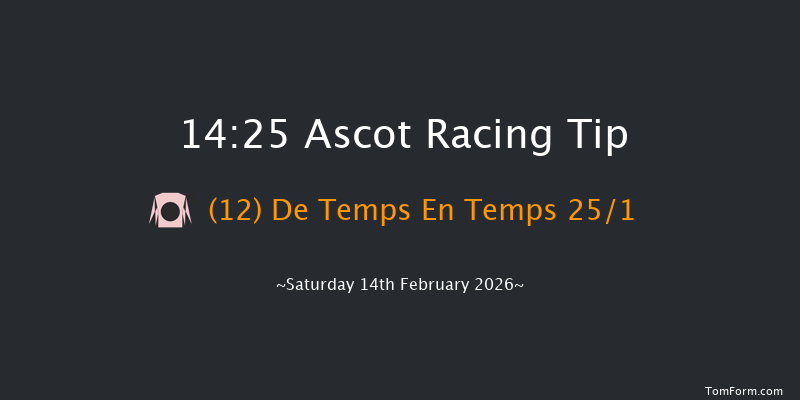 Ascot 14-25 (Class 2) 19f Sat 17th Jan 2026