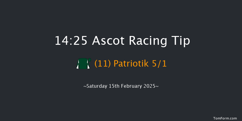 Ascot  14:25 Handicap Hurdle (Class 2) 19f Sat 18th Jan 2025