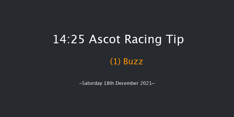 Ascot 14:25 Conditions Hurdle (Class 1) 24f Fri 17th Dec 2021