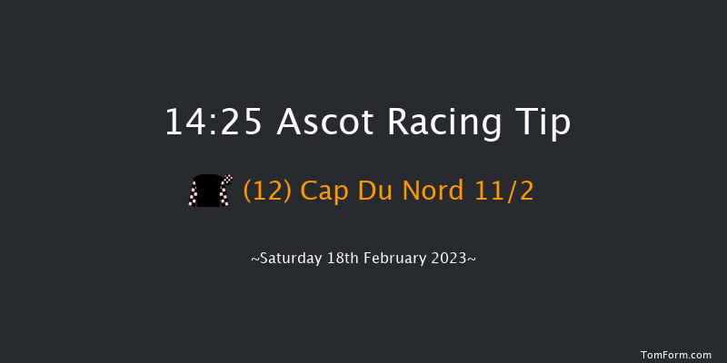 Ascot 14:25 Handicap Chase (Class 1) 24f Sat 19th Nov 2022