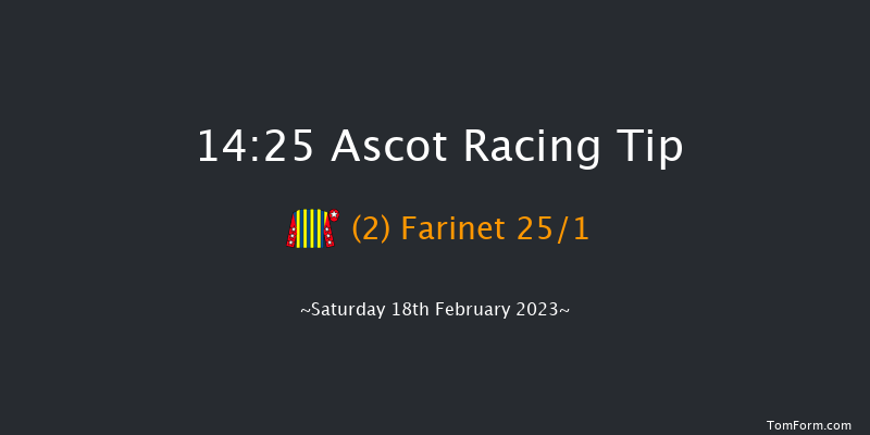 Ascot 14:25 Handicap Chase (Class 1) 24f Sat 19th Nov 2022
